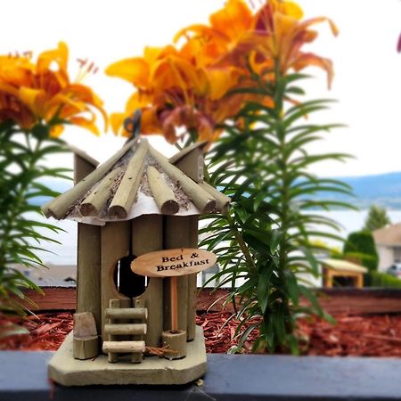 Lakeview Oasis Bed And Breakfast West Kelowna Eksteriør billede