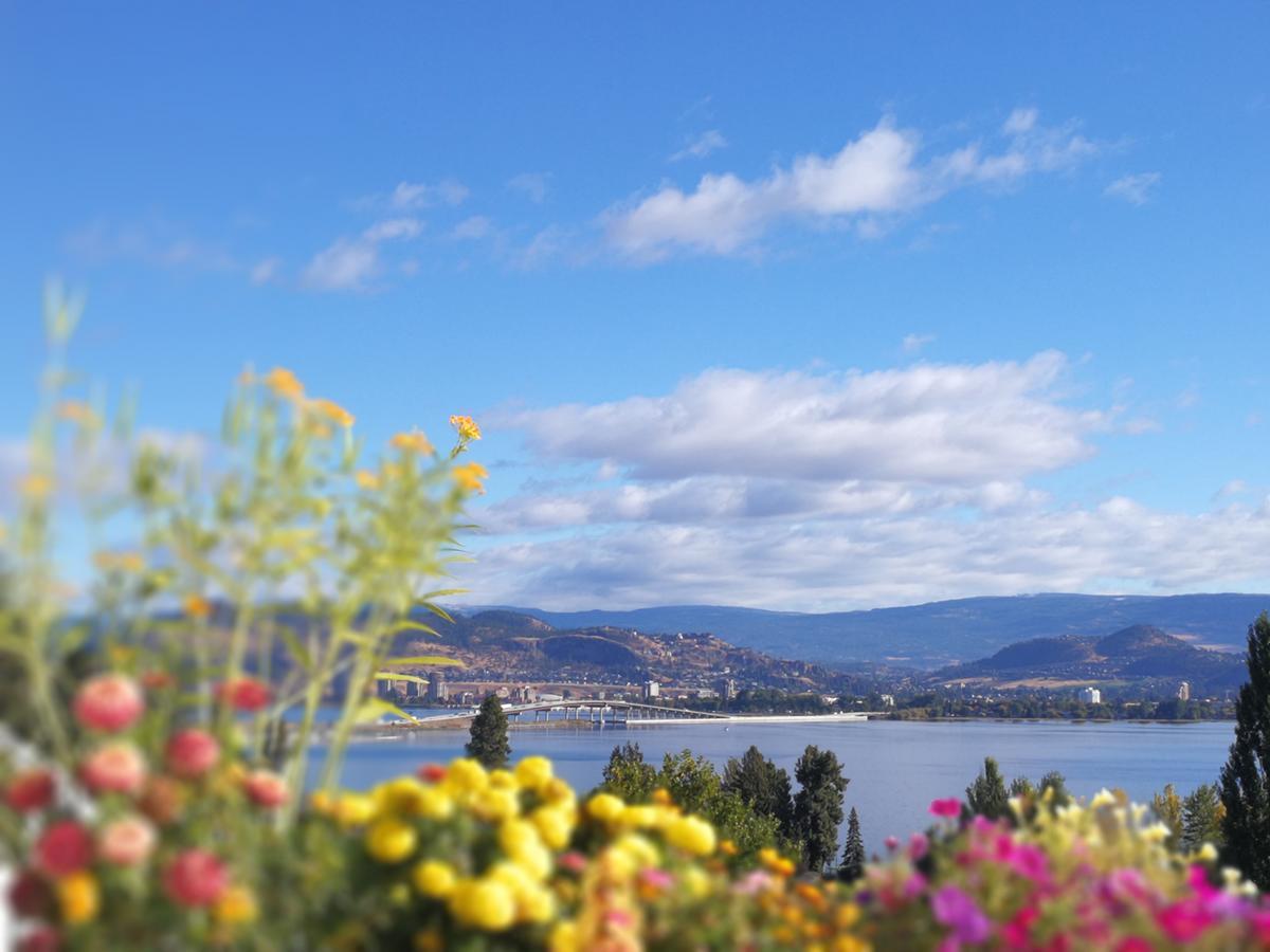 Lakeview Oasis Bed And Breakfast West Kelowna Eksteriør billede